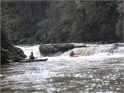Spring Creek 24